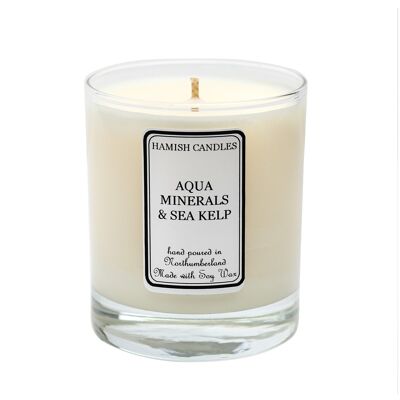 Aqua Minerals & Sea Kelp - 20cl Candle