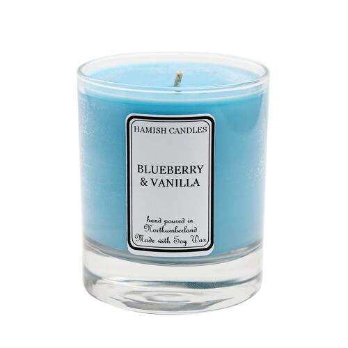 Blueberry & Vanilla - 20cl Candle