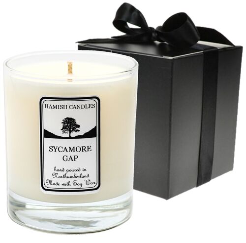 Sycamore Gap - 20cl Candle
