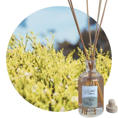Room diffuser: Herbes de Garrigue fragrance (approximately 8 months)