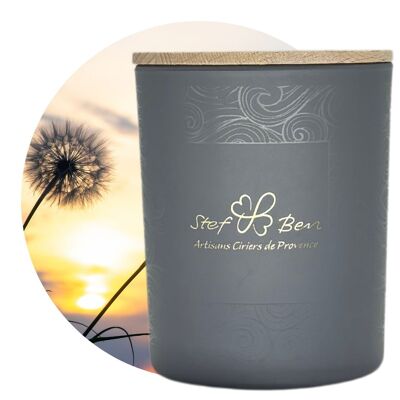 SIGNATURE scented candles: Alizé (80h)