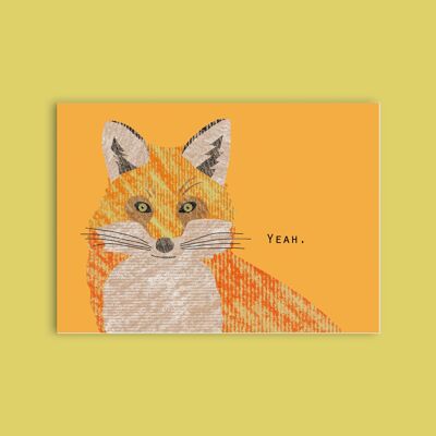 Postcard wood pulp cardboard - animals - fox