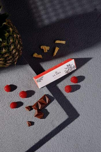 Bean-To-Bar Chocolat Noir Aux Framboises & Ananas 65% 2