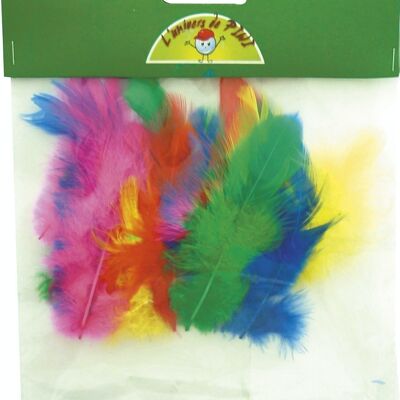 SAC 20 PLUMES DE COQ Ht.70 - ASSORTIMENT VIF