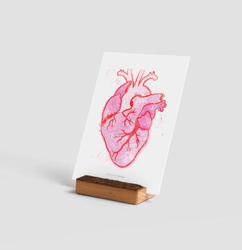 Mini-impression d'art de coeur d'anatomie | Carte de correspondance d'illustration 2