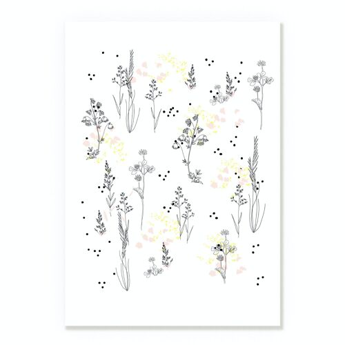 Affiche Herbier Fleurs Pastel