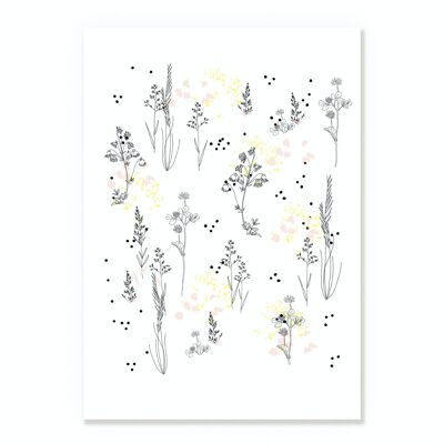 Pastel Flowers Herbarium Poster