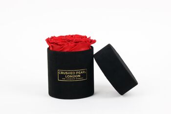 Red Forever Roses - Petite boîte à chapeau en daim noir 1