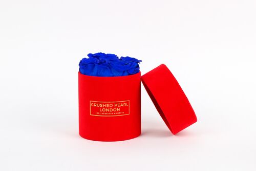 Blue Forever Roses - Small Red Suede Hatbox