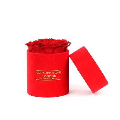 Red Forever Roses - Small Red Suede Hatbox