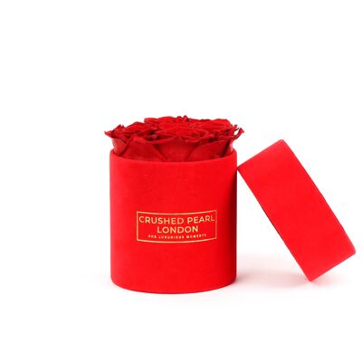 Red Forever Roses - Small Red Suede Hatbox