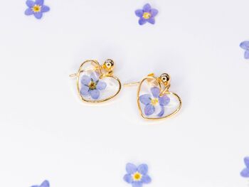 Boucles d'oreilles clous en forme de coeur avec de vraies fleurs myosotis 3