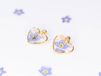 Boucles d'oreilles clous en forme de coeur avec de vraies fleurs myosotis 5