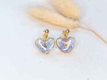 Boucles d'oreilles clous en forme de coeur avec de vraies fleurs myosotis 7