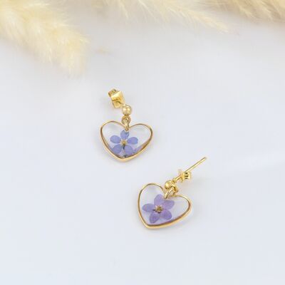 Boucles d'oreilles clous en forme de coeur avec de vraies fleurs myosotis