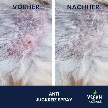 Spray anti-démangeaisons pour chiens et chats - Apaise et nourrit la peau 4