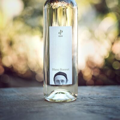 Organic white wine 2023 - BLANC BONNET