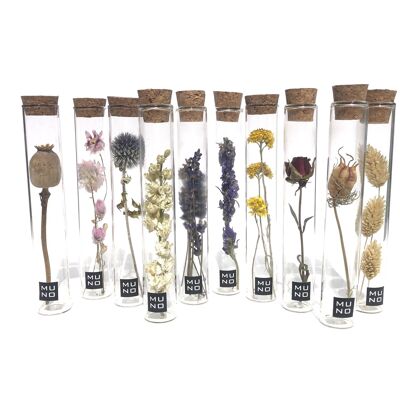 Tube 15cm dried flower