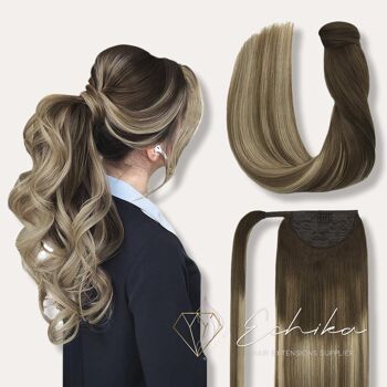 Clip In Ponytail Color Sun-kissed Brown Balyage 1
