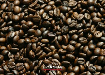 Grains de café | gastronomique | Paquet de 1000 grammes 2