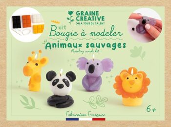 KIT BOUGIES A MODELER ANIMAUX SAUVAGES 3