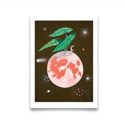 CS Begonia Maculata Fine Art Print  - - Small 210mm x 300mm