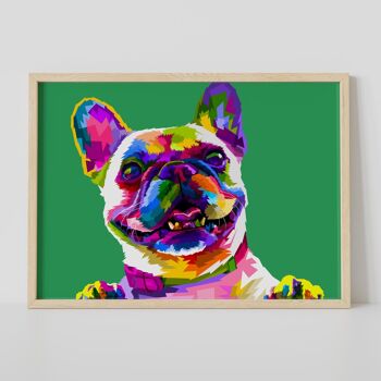 Chien : Imprimé Bouledogue Français (Geometric Rainbow Collection) 3