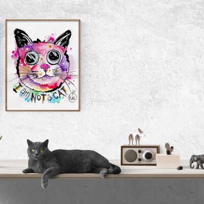 Colección Katriona MacIntosh: I am not a cat print