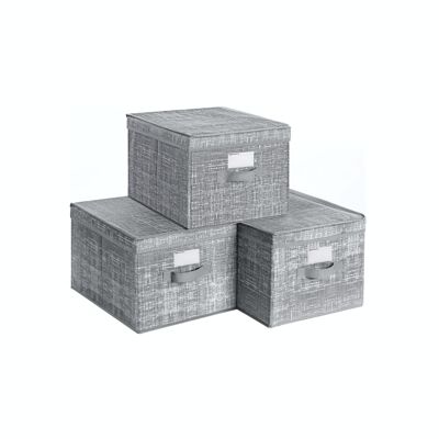 Cajas de almacenamiento con tapas