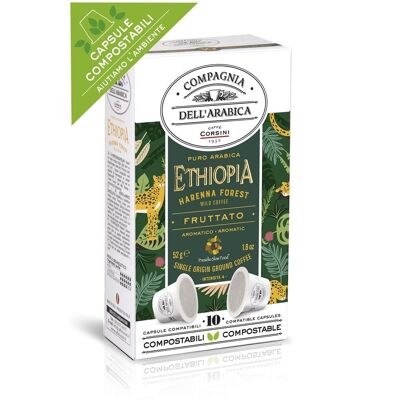Nespresso® compatible compostable capsules | Ethiopia Harenna Forest | 100% Arabica | Pack containing 10 pieces