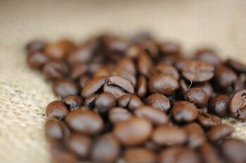 Capsules compostables compatibles Nespresso® | Éthiopie Forêt d'Harenna | 100% Arabica | Pack contenant 10 pièces 2