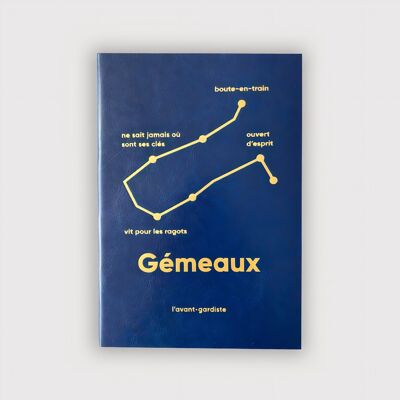 Astro Notebook - Gemini ✨