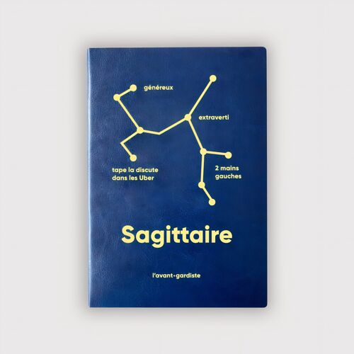 Carnet de notes astro - Sagitaire ✨