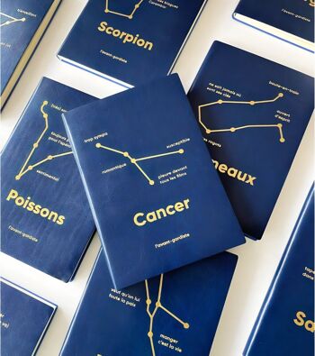 Carnet de notes astro - Scorpion ✨ 2