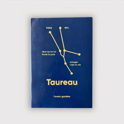 Astro notebook - Taurus ✨