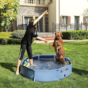 Piscine pour chien pliable 3