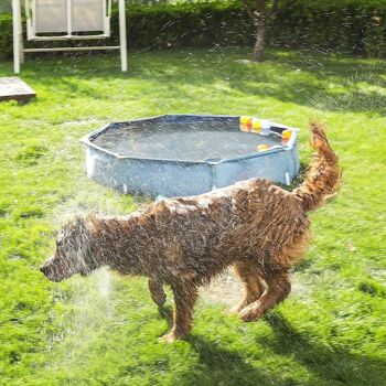 Piscine pour chien pliable 4