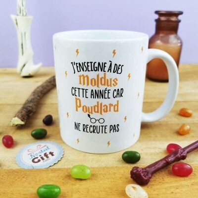 Mug - "I'm teaching muggles this year because Hogwarts isn't recruiting" - Mistress, master gift