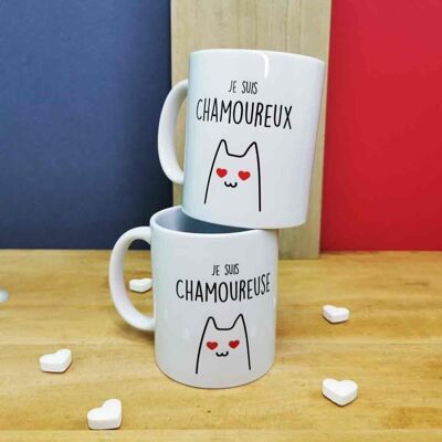 Taza Duo "Soy un amante de los gatos"