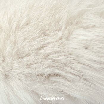 Lot de 10 carnets au poil - Pelage de chat poils blanc crème - Bisous les chats - Cahier écriture - 2