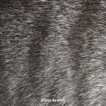 Lot de 10 carnets au poil - Pelage chat gris tigré - Bisous les chats - Cahier écriture - 2