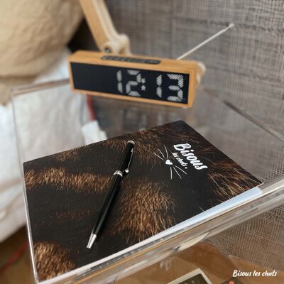 Lot of 10 furry notebooks - Brown black tortoiseshell coat - Kisses the cats - Writing notebook -