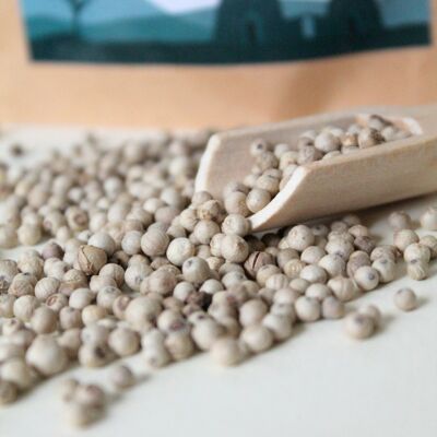 Poivre blanc de Penja IGP 5 kgs
