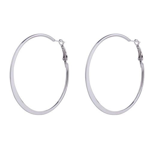 Alesha Base Alloy Leaver Earrings DE1031R