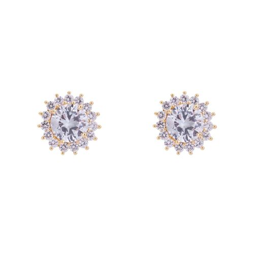 Elizabeth Cubic Zirconia Stud Earrings DE0461K