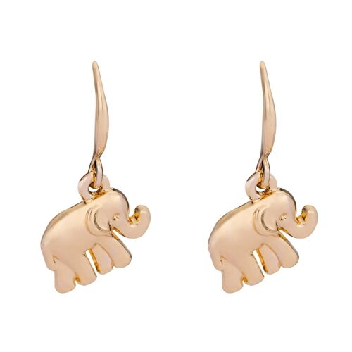 Emily Hook Earrings DE0998K