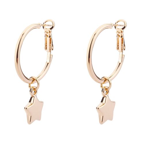 Eternal Leaver Earrings DE0711K