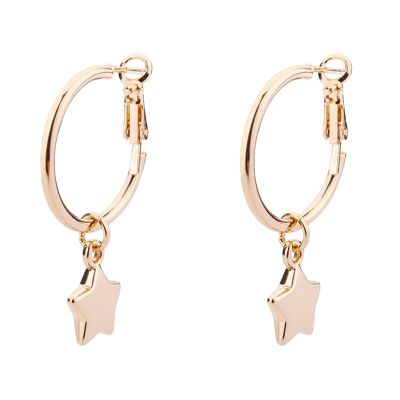 Boucles d'oreilles Leaver éternelle DE0711K