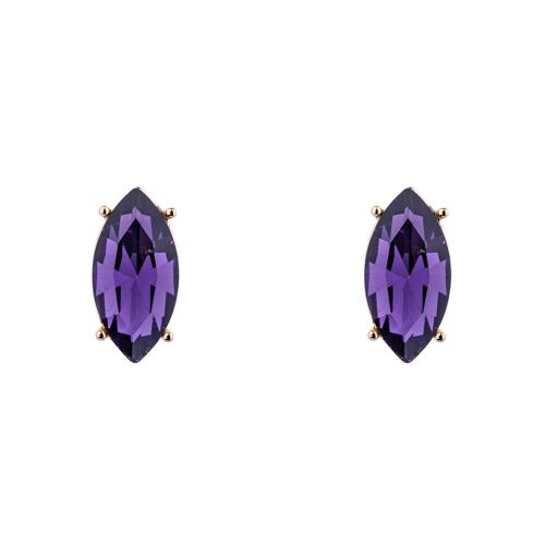 Iris Crystal Stud Earrings DE1061K