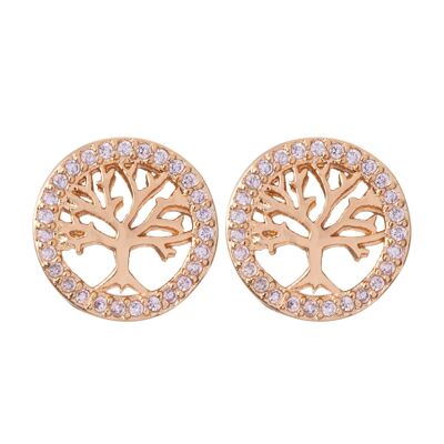 Keira Base Alloy Cubic Zirconia Stud Earrings DE0750K